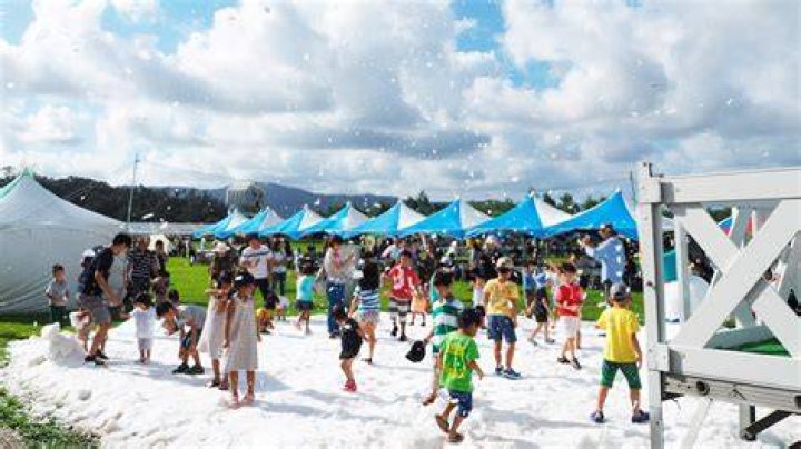 若者が参加する地域コミュニティイベント